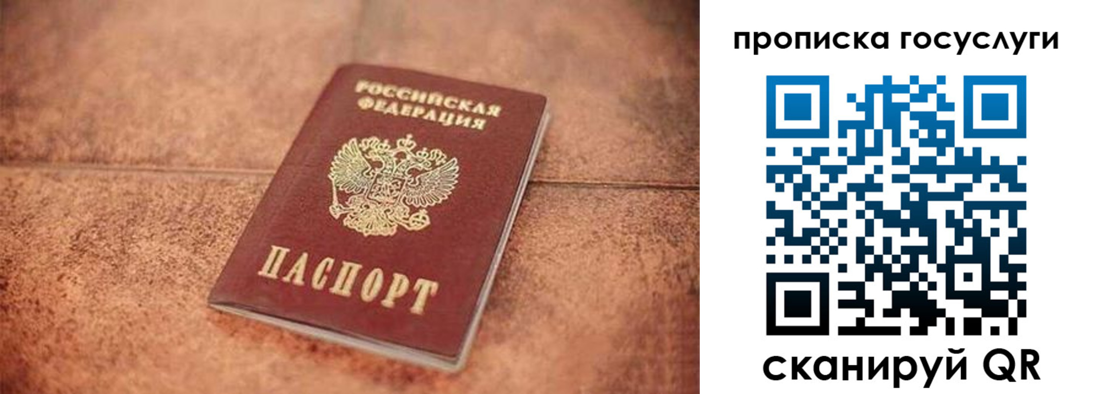 прописка законно в Владимирской области